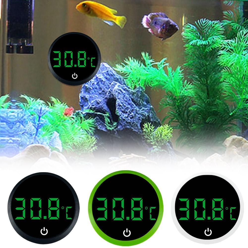 Aquarium Self-Adhesive Thermom - Marine Aquarium Glue 리뷰 및 가격