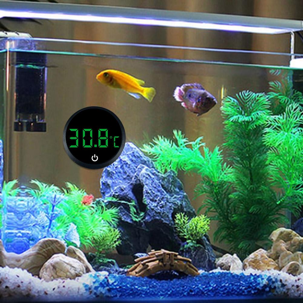 Aquarium Self-Adhesive Thermom - Marine Aquarium Glue 리뷰 및 가격