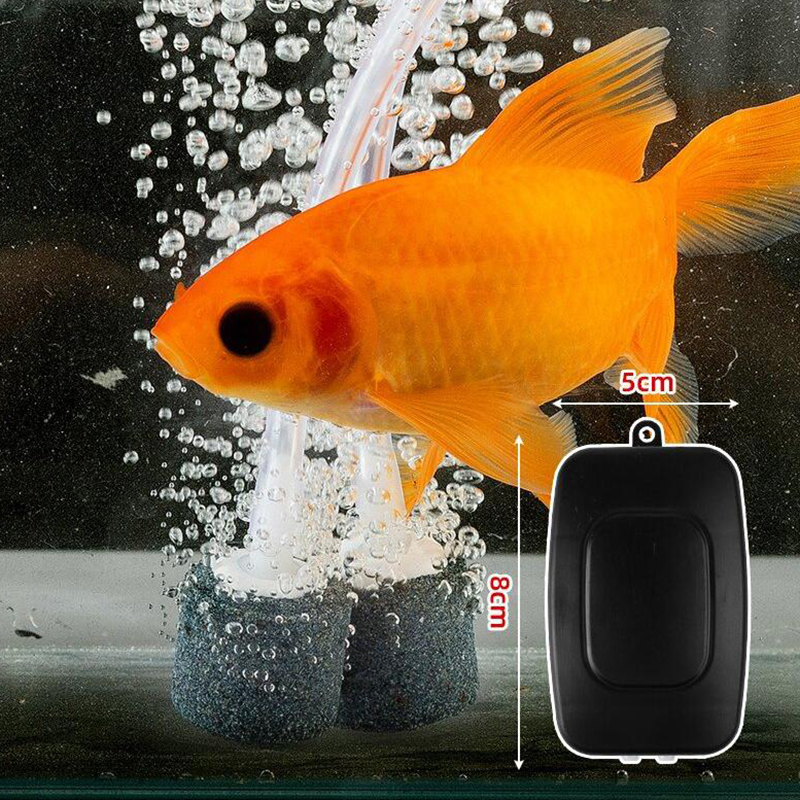 Mini Aquarium Air Pump Kit Oxy - Marine Aquarium Kit 리뷰 및 가격