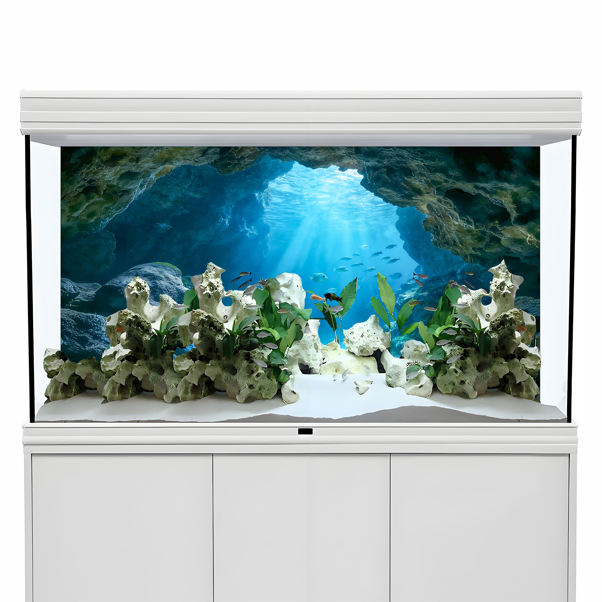 Deep Sea Blue Hole，Fish tank b - Marine Aquarium Glue 리뷰 및 가격