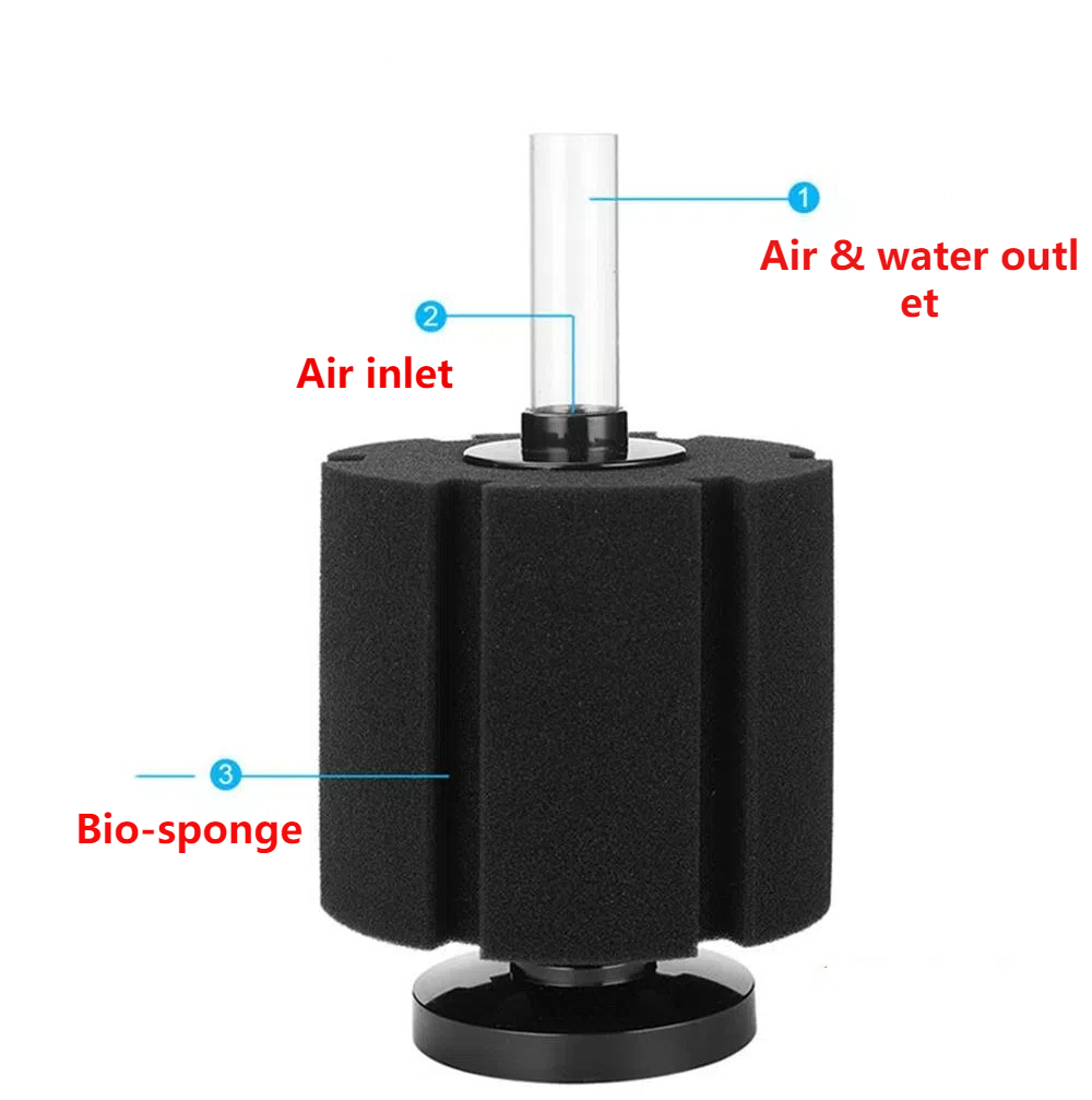 Aquarium Filter Sponge For Fis - Marine Aquarium Overflow 리뷰 및 가격