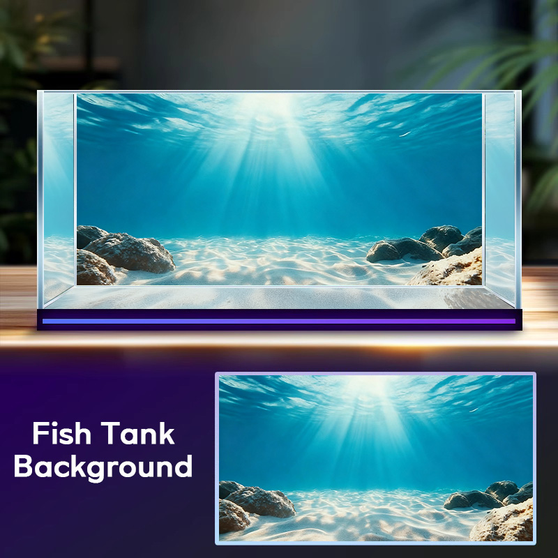 Blue sea clear sand，Fish tank  - Marine Aquarium Glue 리뷰 및 가격