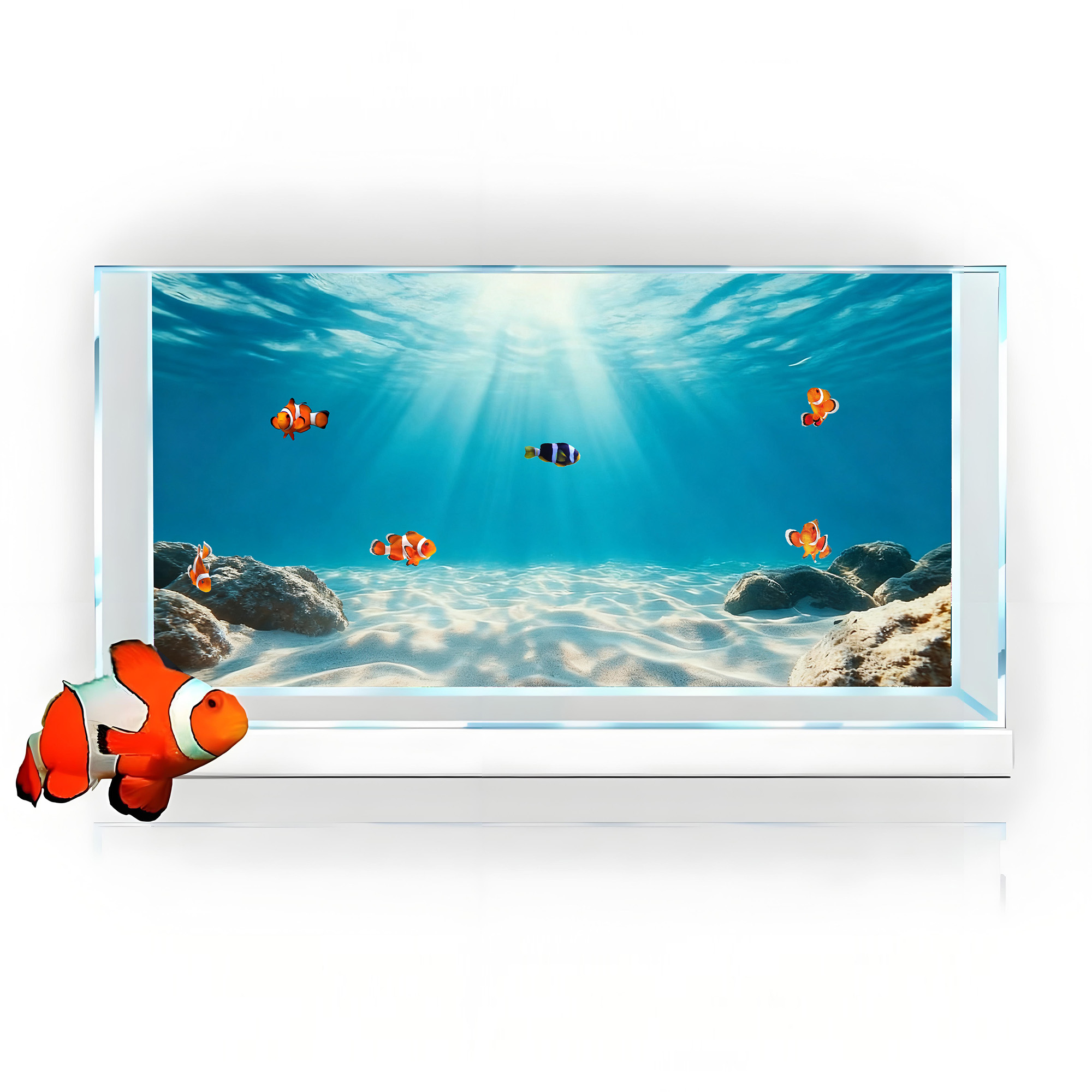 Blue sea clear sand，Fish tank  - Marine Aquarium Glue 리뷰 및 가격