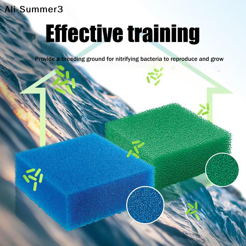 【Sk】5 PCS Aquarium Filter Cott - Marine Aquarium Kit 리뷰 및 가격