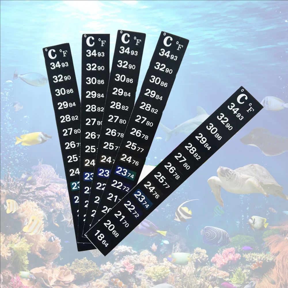5Pcs/10Pcs Aquarium Fish Tank  - Marine Aquarium Glue 리뷰 및 가격