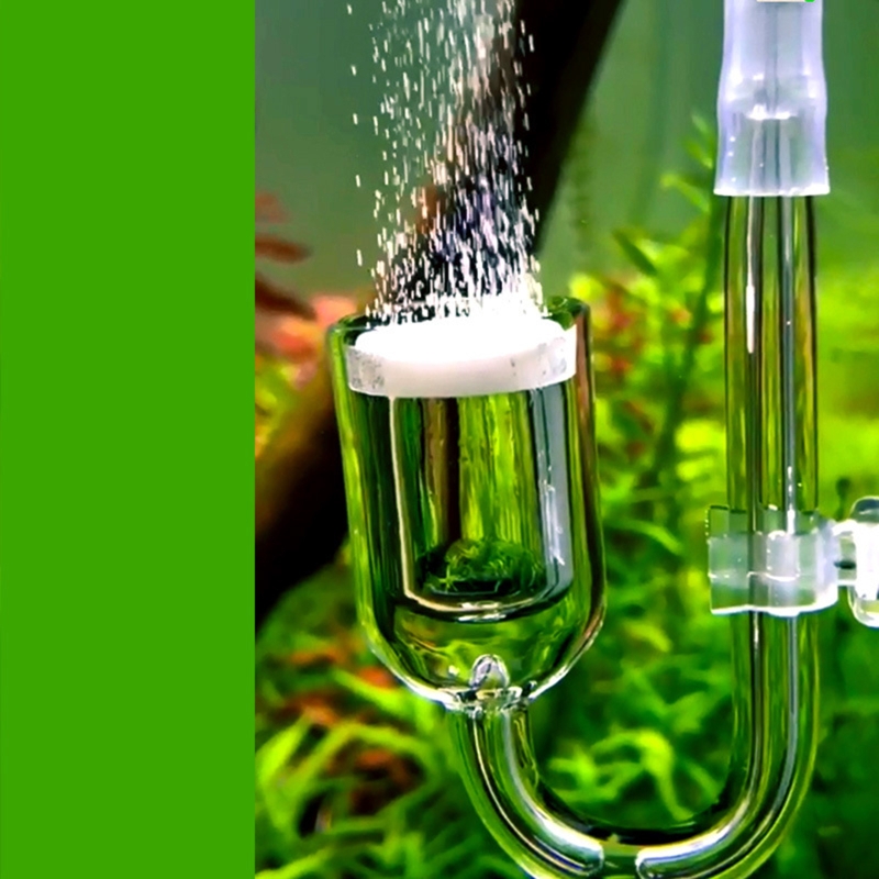 Nano CO2 Diffuser Glass Atomiz - Marine Aquarium Nano 리뷰 및 가격