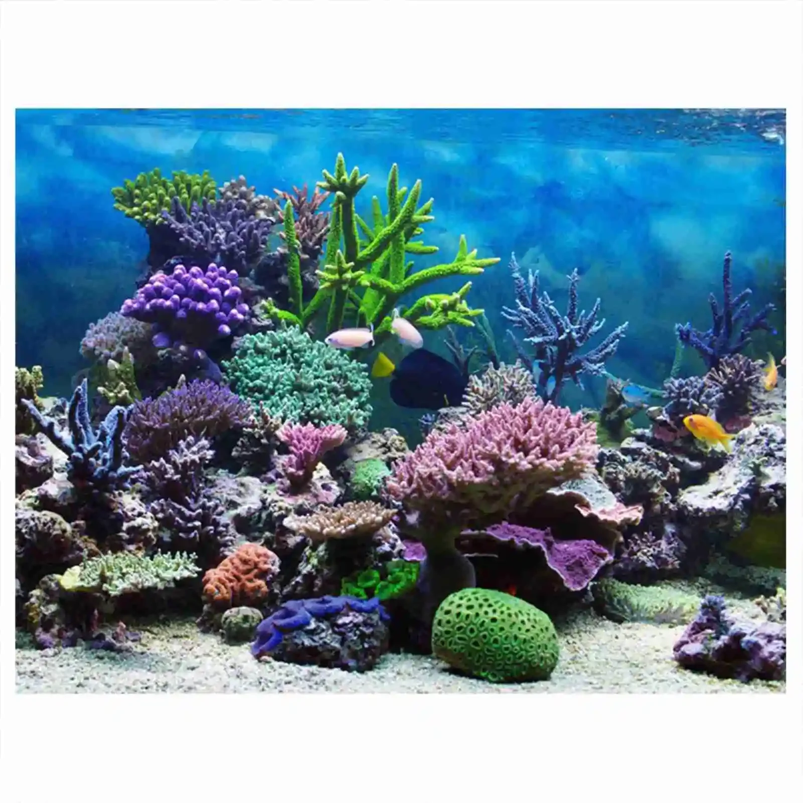 3D Aquarium Landscape Poster R - Marine Aquarium Glue 리뷰 및 가격