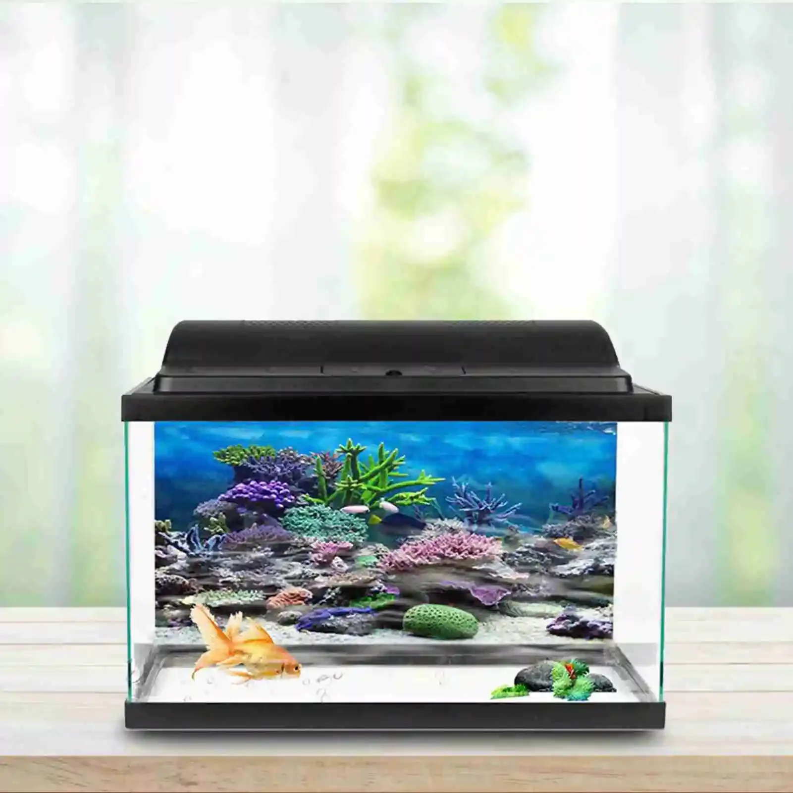 3D Aquarium Landscape Poster R - Marine Aquarium Glue 리뷰 및 가격