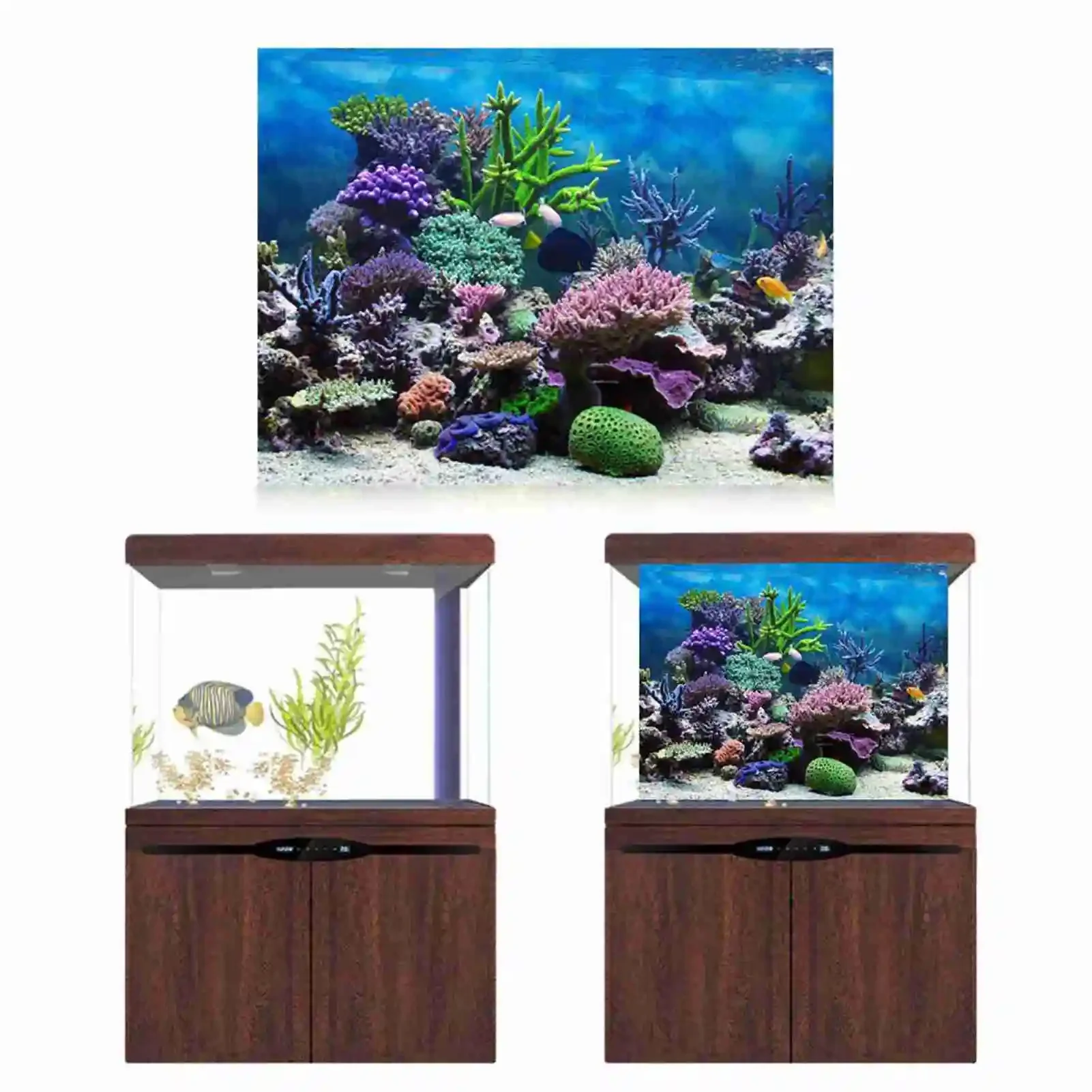 3D Aquarium Landscape Poster R - Marine Aquarium Glue 리뷰 및 가격