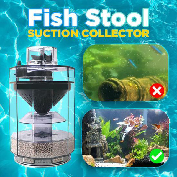 Fish Tank Waste Collector Tran - Marine Aquarium Overflow 리뷰 및 가격