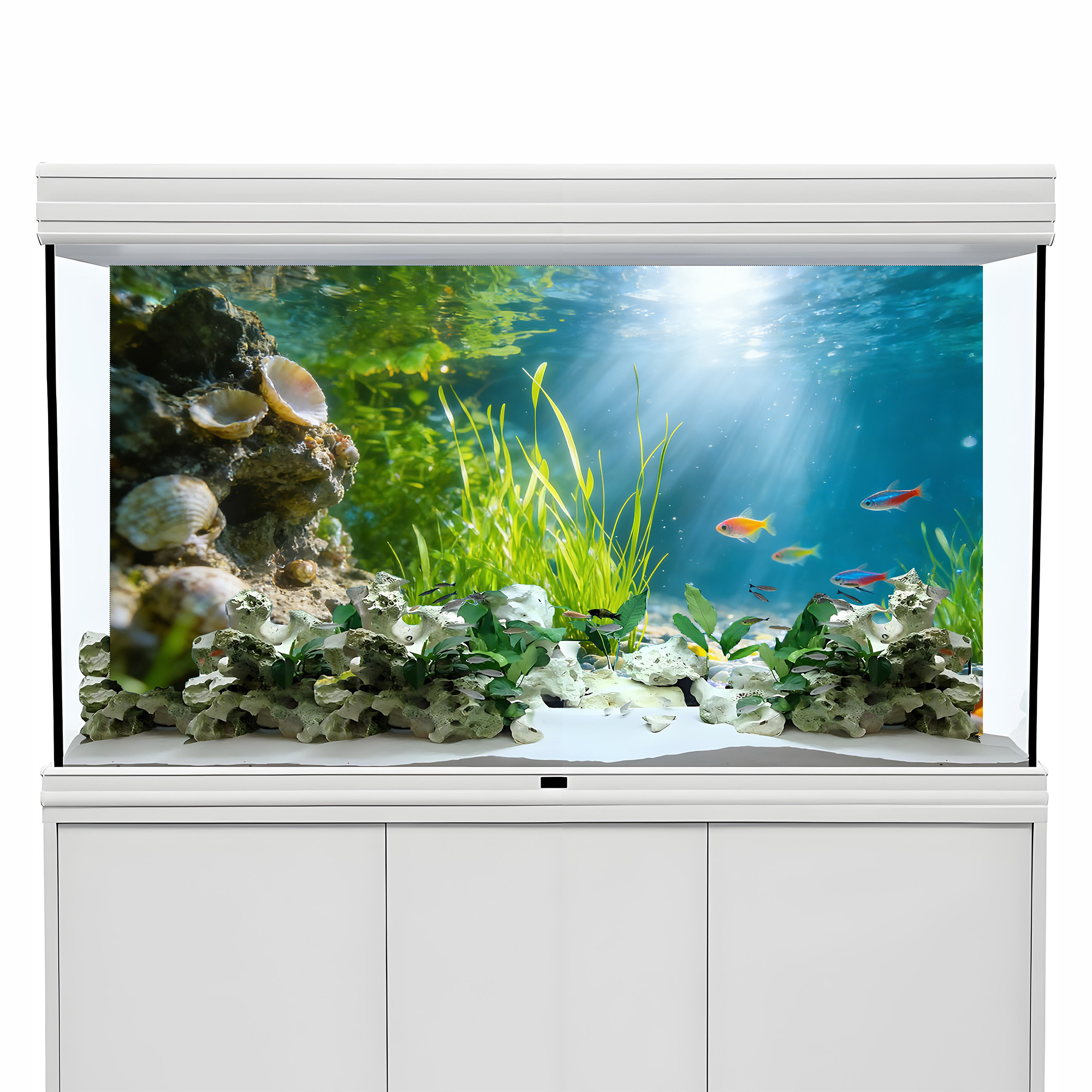 Shell reefs,seaweeds ，Fish tan - Marine Aquarium Glue 리뷰 및 가격