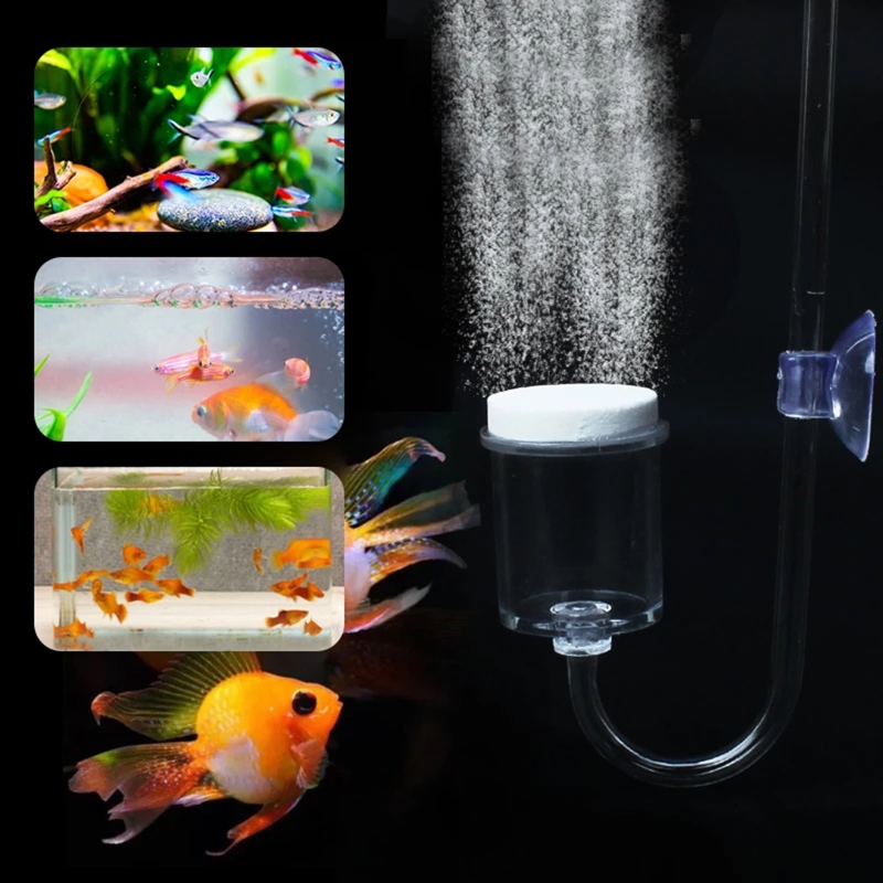 4pcs Set DIY CO2 Diffuser For  - Marine Aquarium Kit 리뷰 및 가격